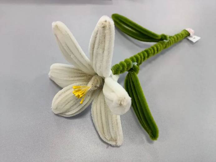 桌子上有一些绿色植物 AI 生成的内容可能不正确。